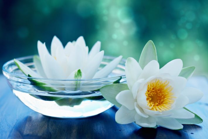 Image of lotus flowers